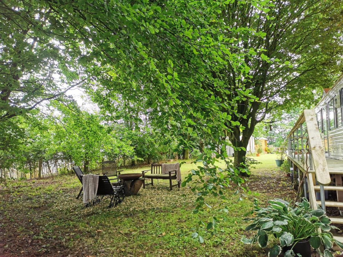 Doughery Den The Dark Hedges Hideaway Armoy Exteriör bild