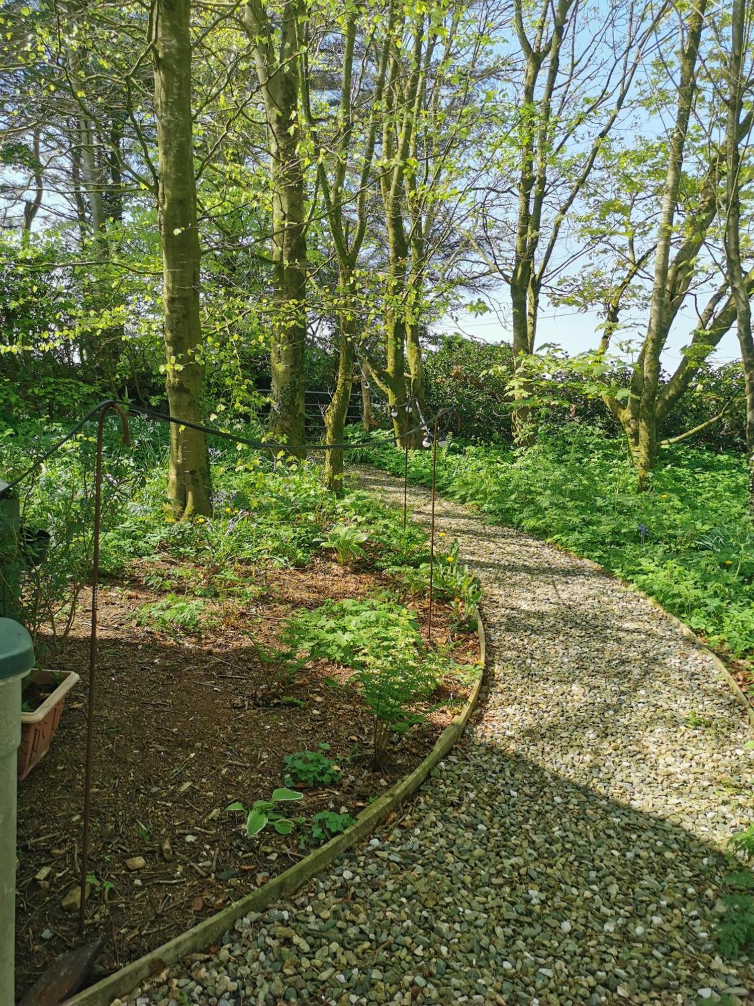 Doughery Den The Dark Hedges Hideaway Armoy Exteriör bild